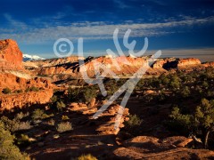 UTAH Capitol Reef
